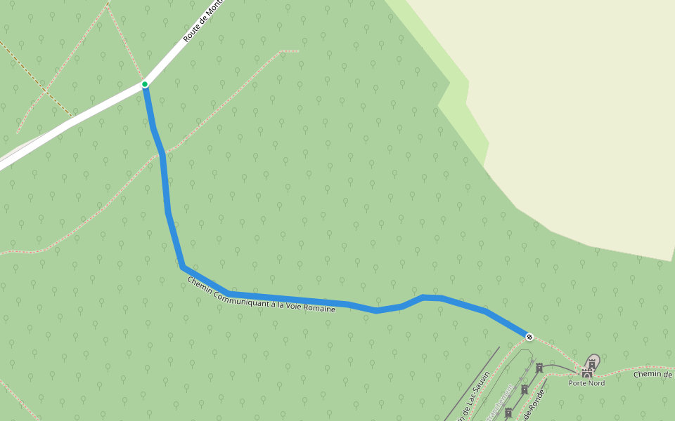 Chemin Communiquant à la Voie Romaine walking route map in Saint-Moré
