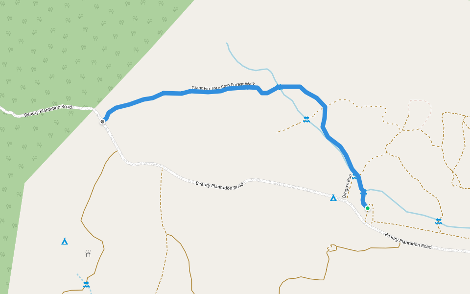 Giant Fig Tree Rain Forest Walk walking route map in Urbenville