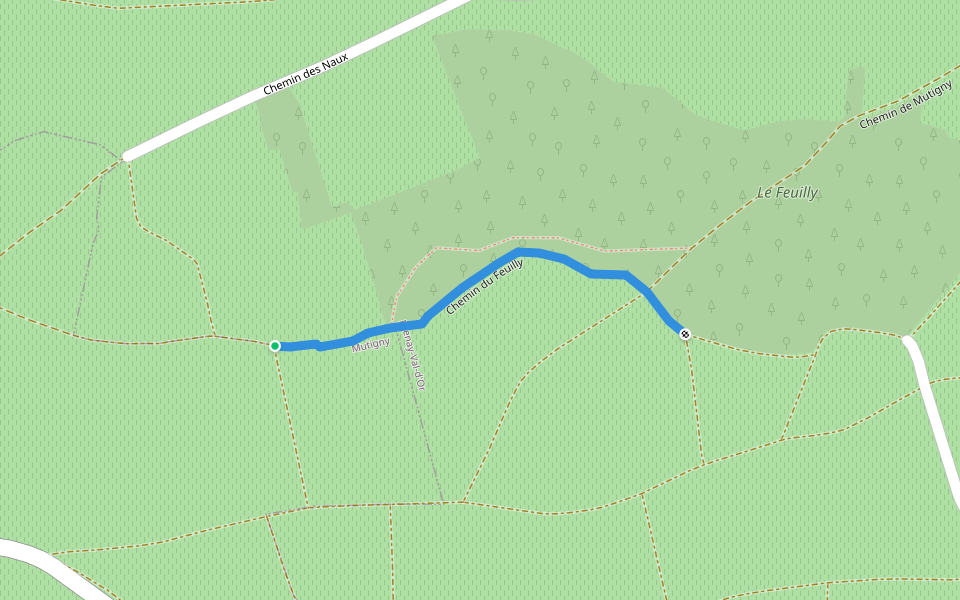 Chemin du Feuilly walking route map in Avenay-Val-d'Or