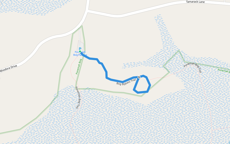 Bog Bypass Trail