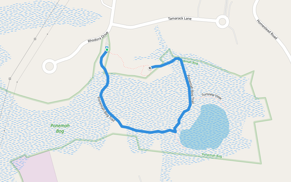 Ponemah Bog Trail