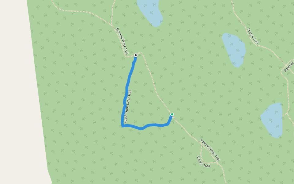 Black Gum Loop Trail walking route map in Francestown