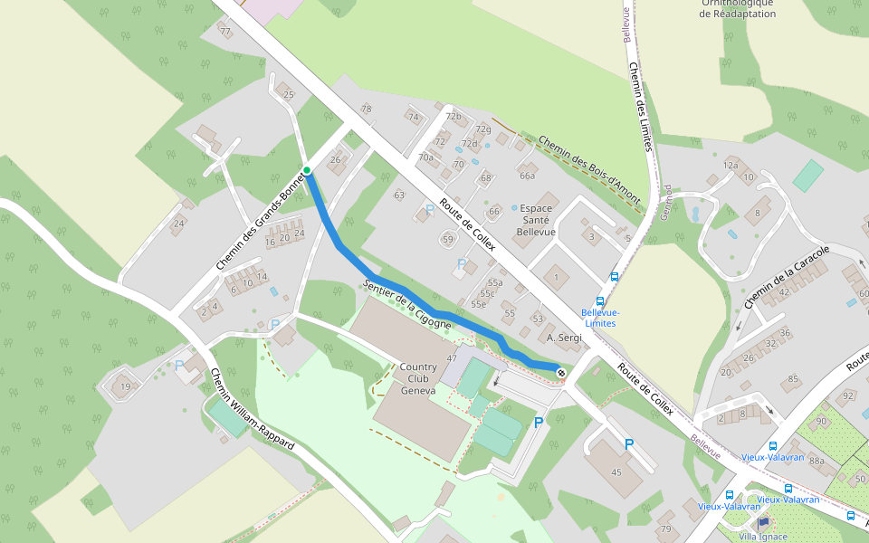 Sentier de la Cigogne walking route map in Bellevue