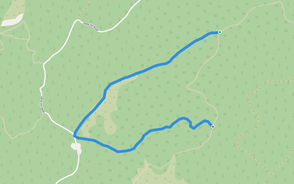 Carey's Creek/Rongomai-Honeycomb Tracks walking route map in Evansdale
