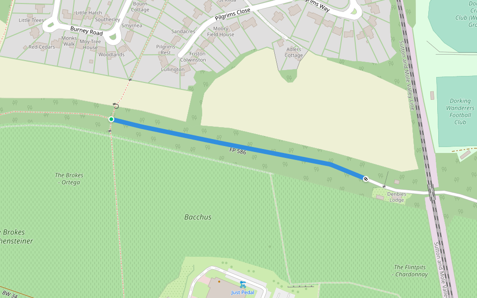 FP 586 walking route map in Westhumble