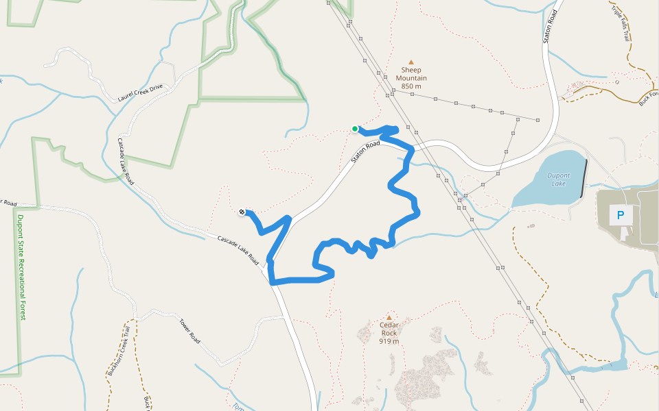 Pine Tree Trail walking route map in Pisgah Forest