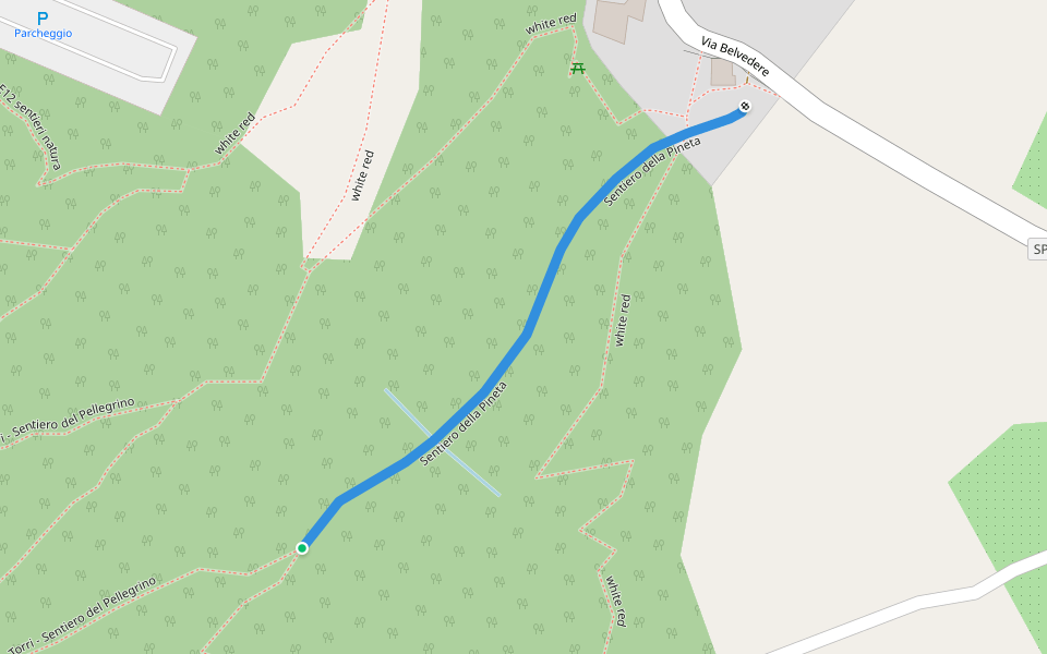 Sentiero della Pineta walking route map in Palinuro