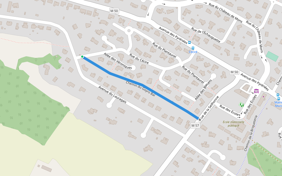 Chemin du Goyro Bal walking route map in Mons