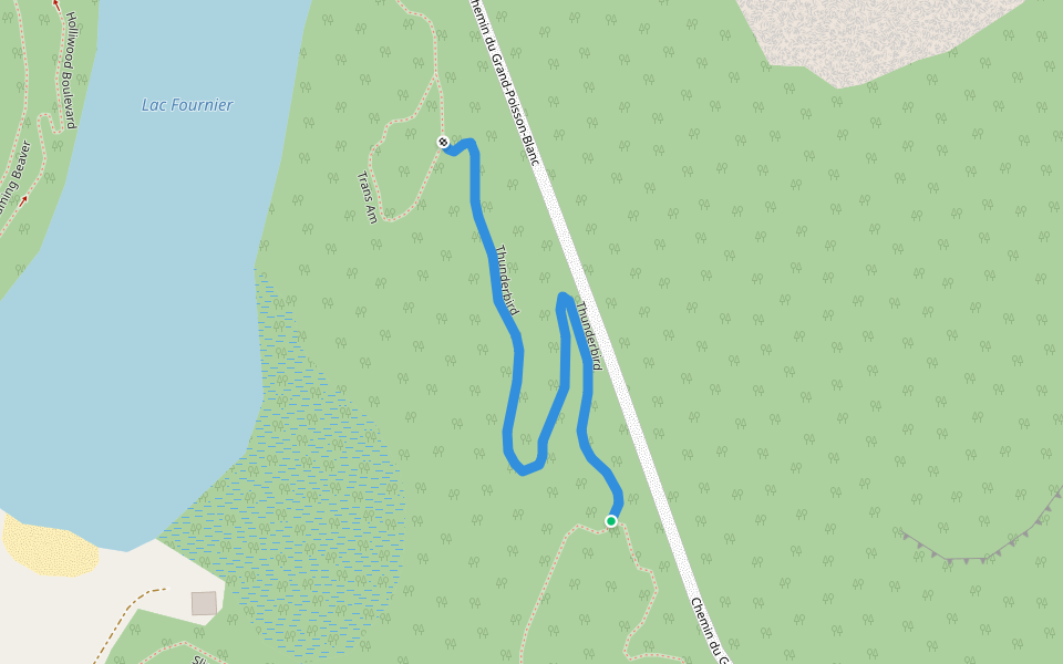 Thunderbird walking route map in Gracefield