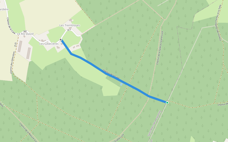 Chemin de la Cave walking route map in Saint-Mars-de-Locquenay
