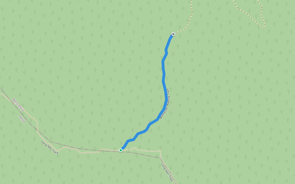 Mulhauser Walking Track walking route map in Nelse