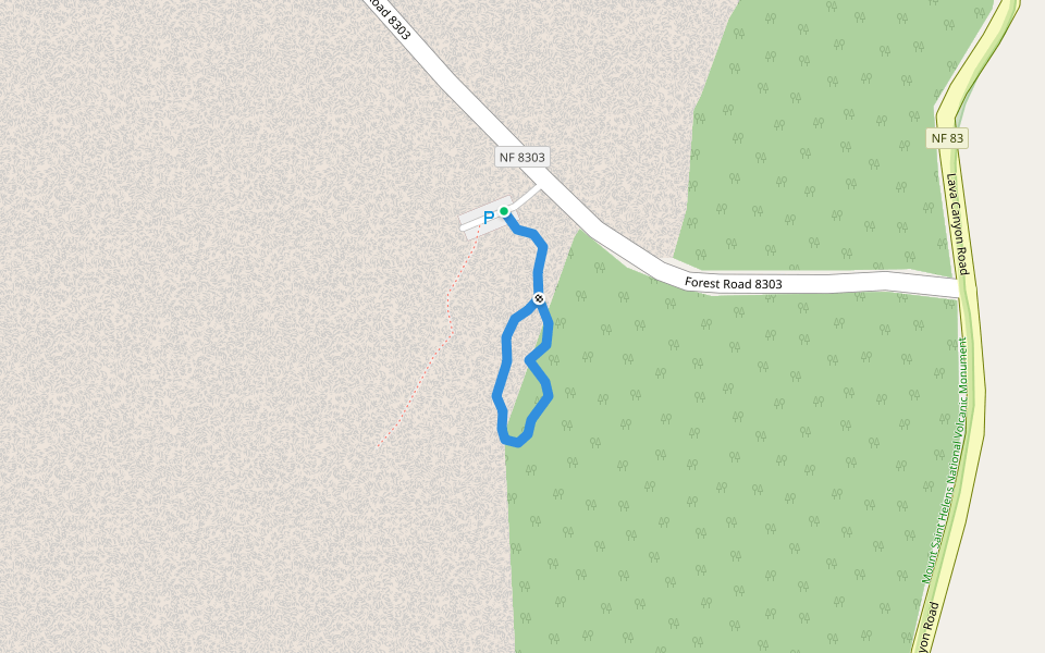 Trail of Two Forests #233