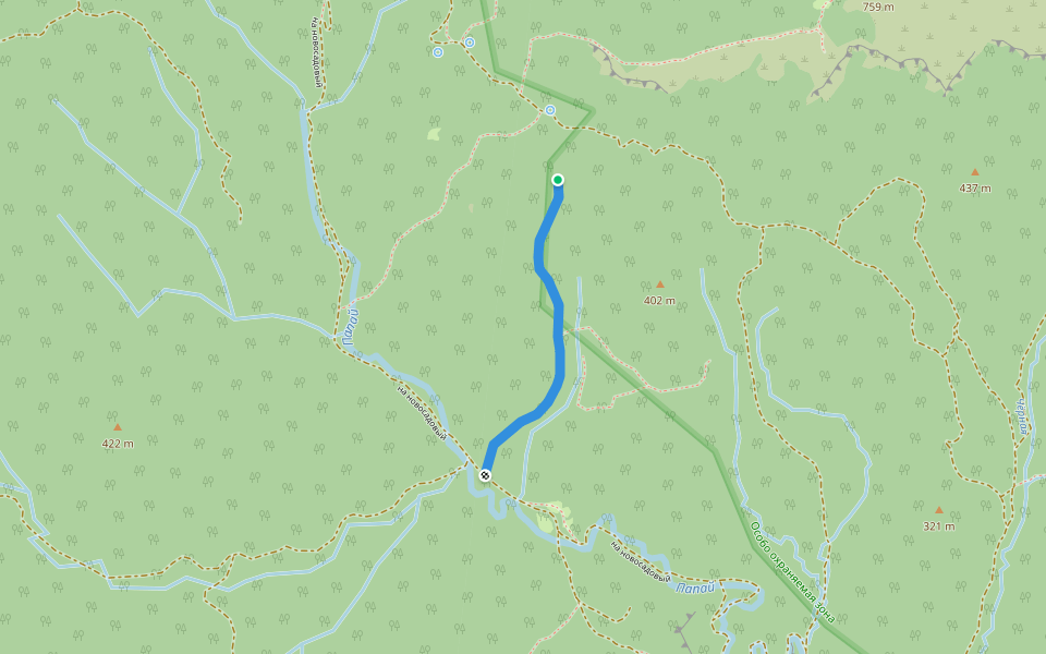 старая тропа, завалена стволами walking route map in Novosadovyy