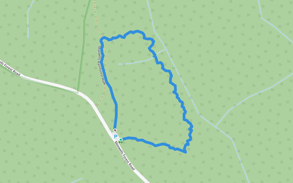 Maxwells Rainforest Walk walking route map in Nadgee
