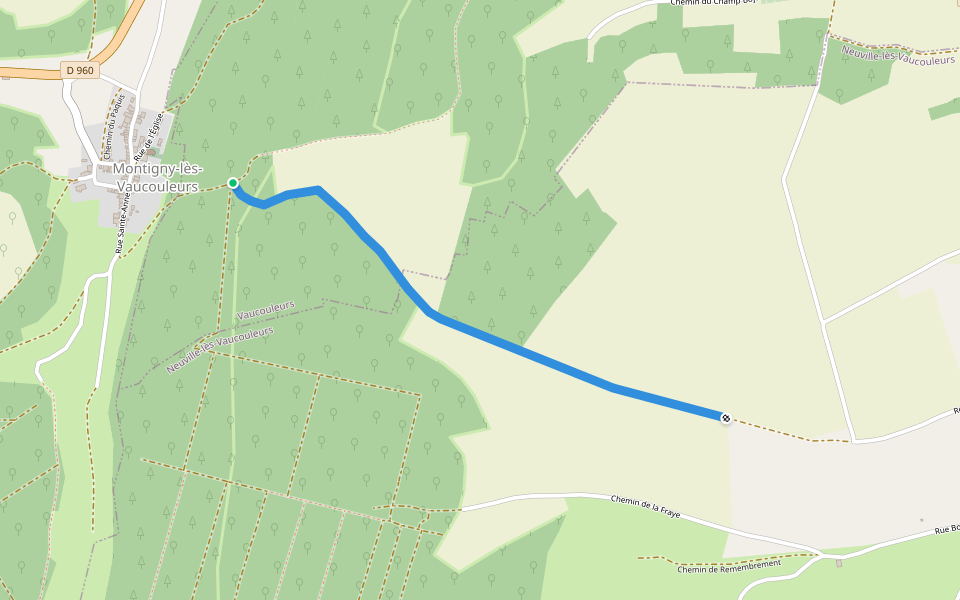 Chemin Rural de Montigny les Vaucouleurs à Neuville les Vaucouleurs walking route map in Montigny-lès-Vaucouleurs