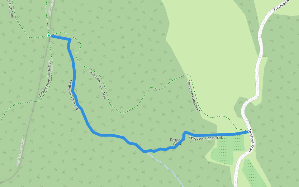 Ferguson Cabin Trail walking route map in Waynesville