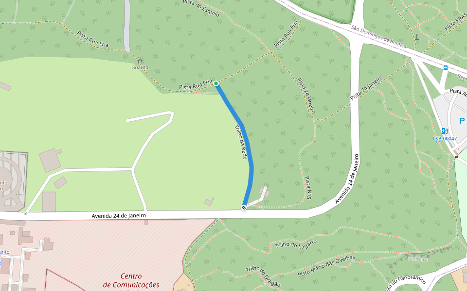 Network Trail Walking and Running - Lisboa | Pacer