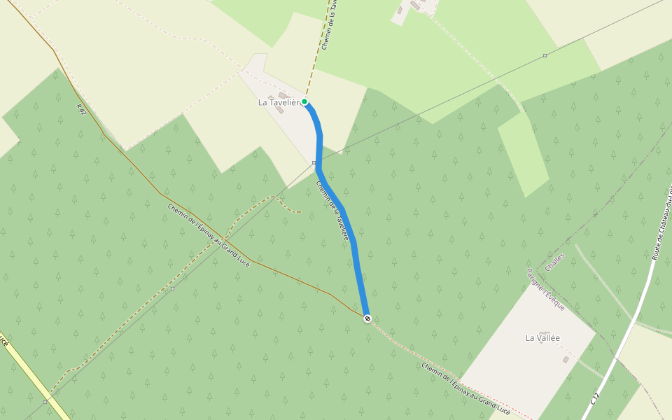 Chemin de la Tavelière walking route map in Parigné-l'Évêque