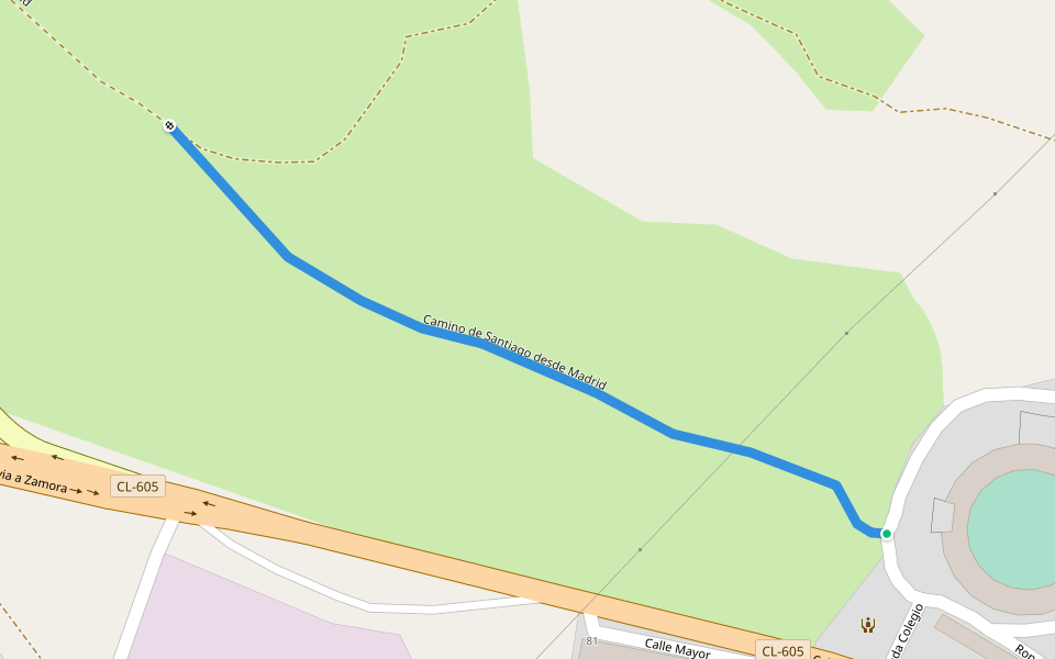 Camino de Santiago desde Madrid walking route map in Santa María la Real de Nieva
