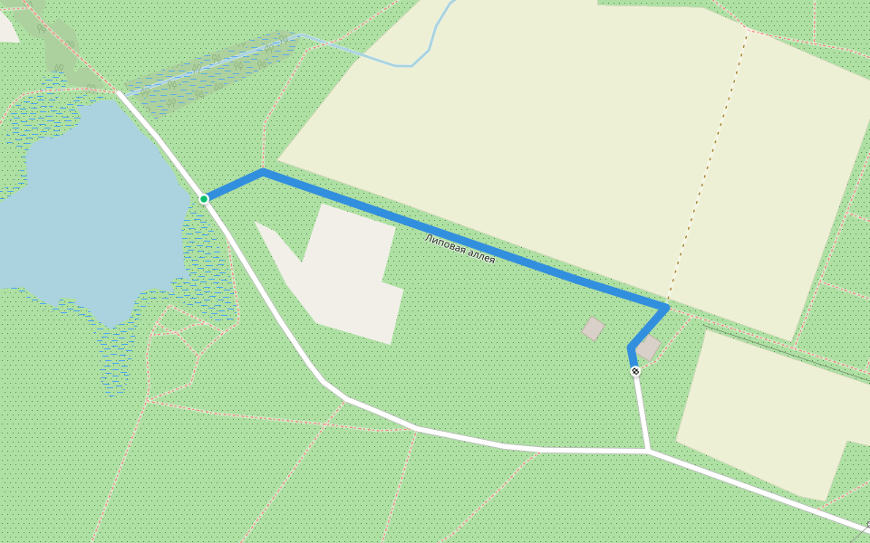 Липовая аллея walking route map in Tomsk