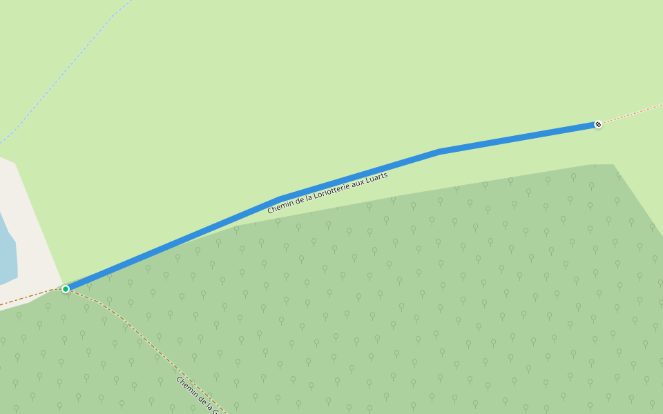 Chemin de la Loriotterie aux Luarts walking route map in Coudrecieux