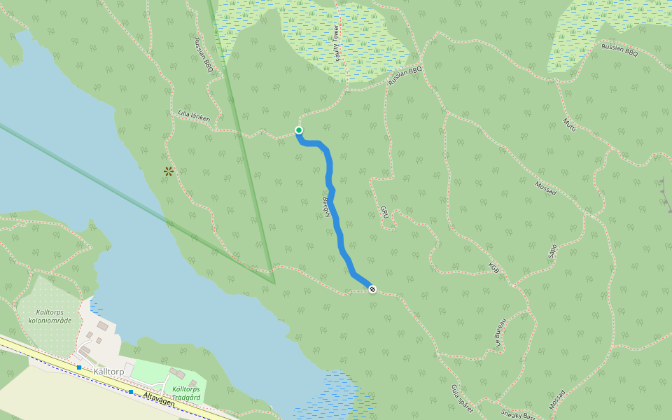 Bergvy