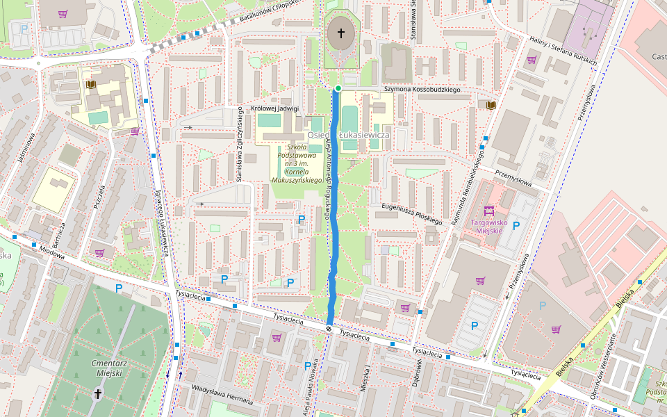 Aleja Antoniego Roguckiego walking route map in Płock