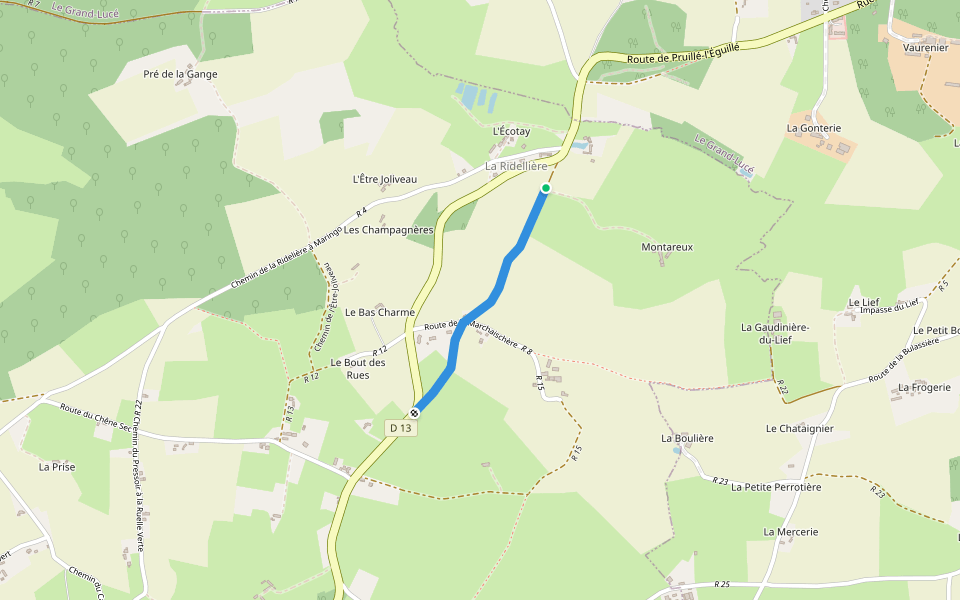 Ancien Chemin du Grand-Lucé walking route map in Pruillé-l'Éguillé