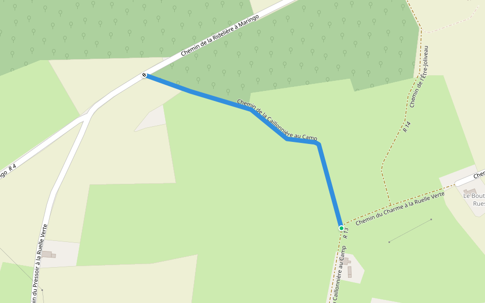Chemin de la Caillonnière au Camp walking route map in Pruillé-l'Éguillé