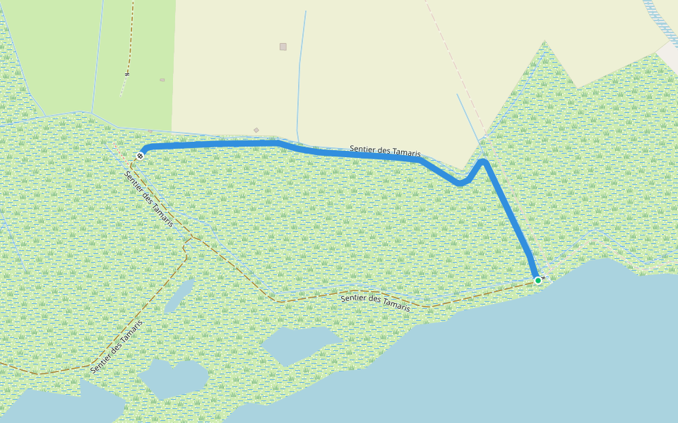 Sentier des Tamaris walking route map in Lattes
