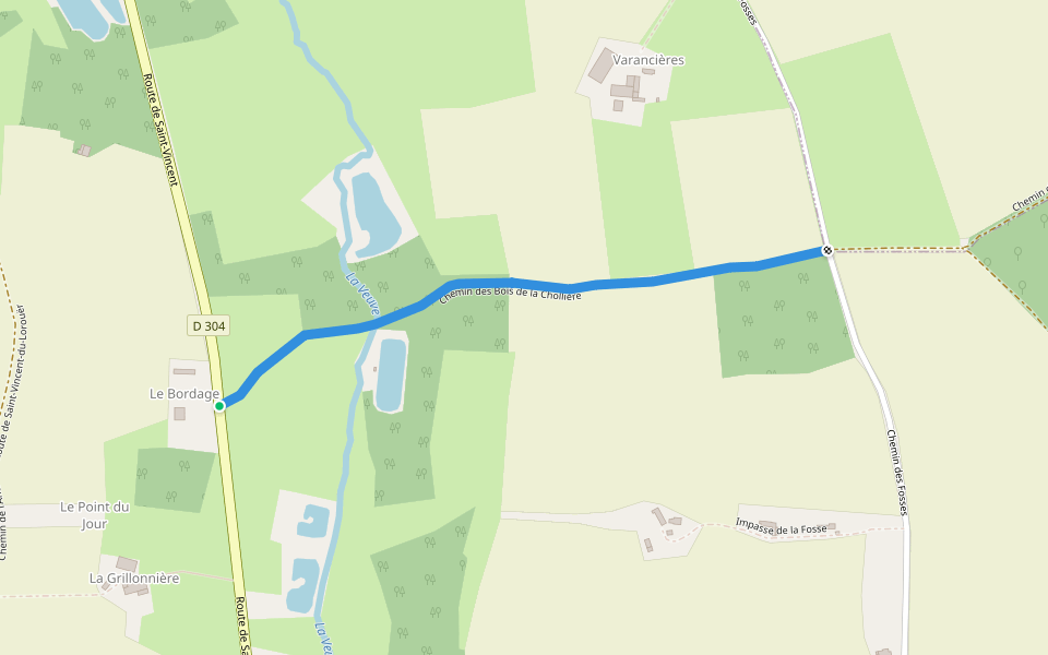 Chemin des Bois de la Chollière walking route map in Le Grand-Lucé