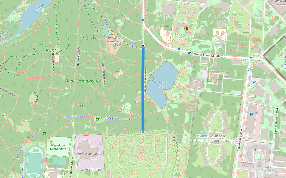 Дворцовая аллея