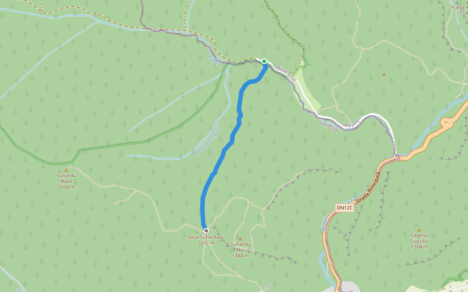 Valea Cupaşului - Şaua Suhard (bandă galbenă) walking route map in Bârnadu