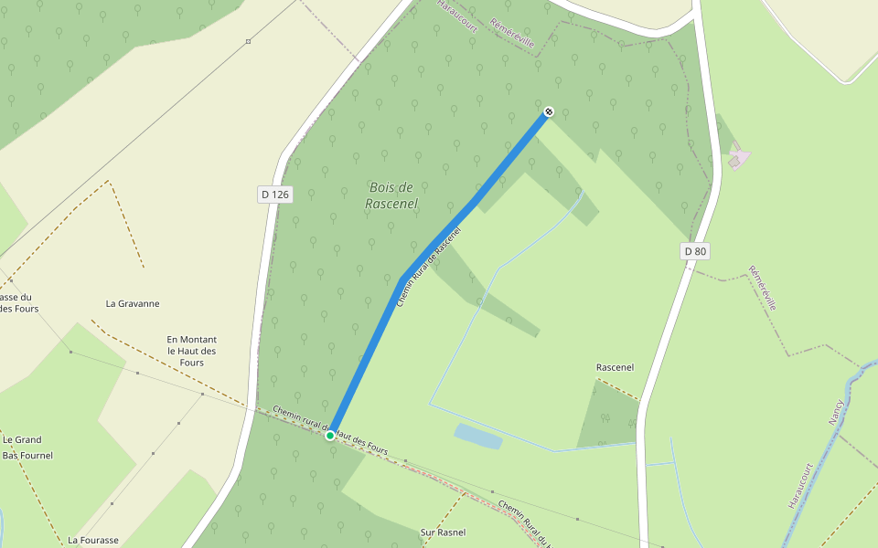 Chemin Rural de Rascenel walking route map in Buissoncourt