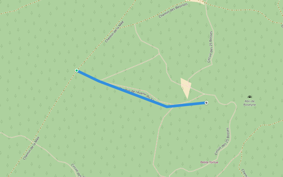 Chemin de l'Avenir du Vaudoué walking route map in Le Vaudoué