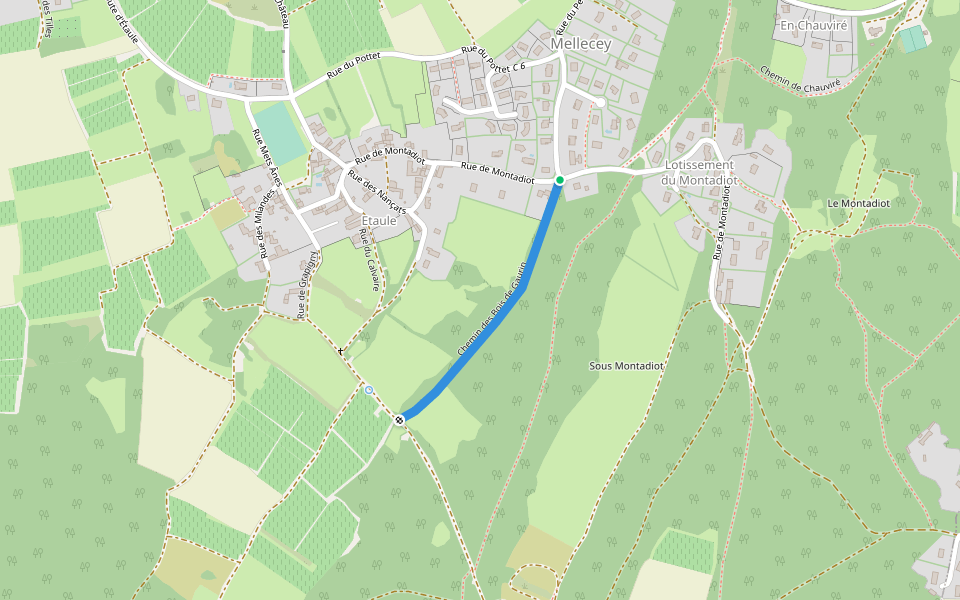 Chemin des Bois de Gaurin walking route map in Mellecey