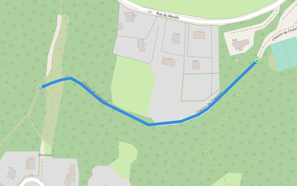 Chemin de Chauviré walking route map in Mellecey