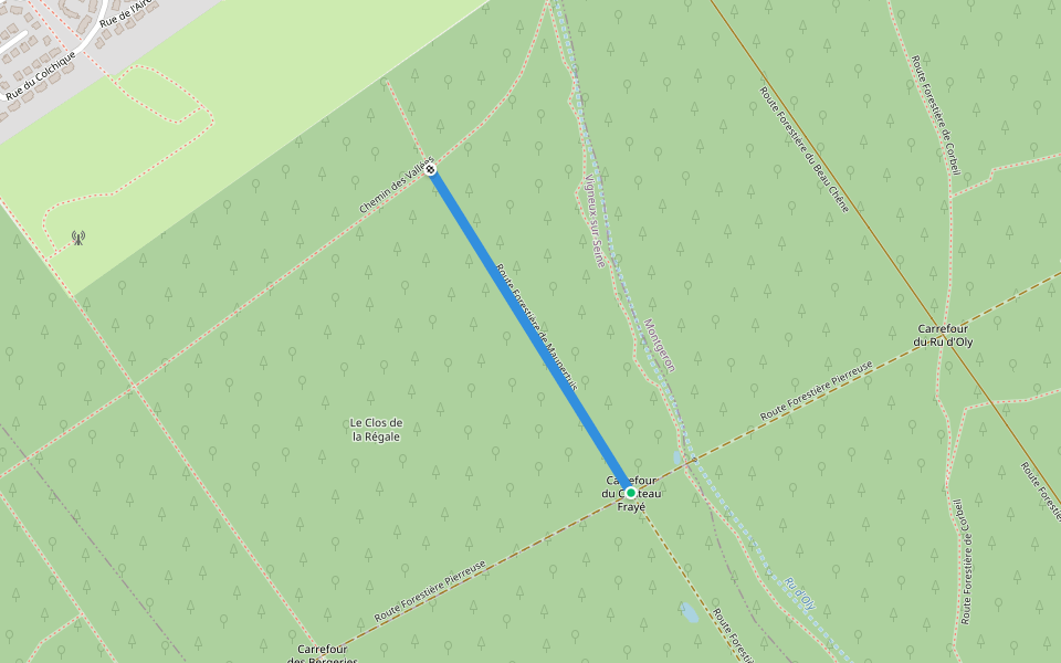 Route Forestière de Maupertuis walking route map in Vigneux-sur-Seine