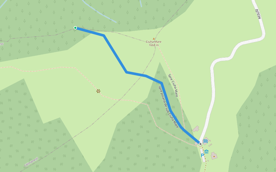 spre poiana de sub Ciuha Mare walking route map in Brezoi