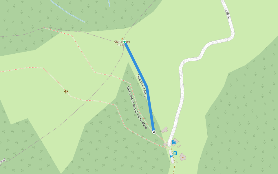 Spre Ciuha Mare walking route map in Brezoi