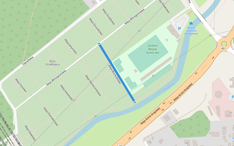 Aleja Buraczkowa walking route map in Kędzierzyn-Koźle
