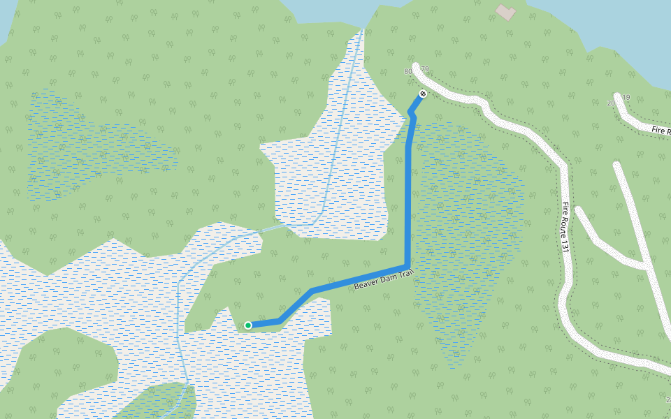Beaver Dam Trail walking route map in Lakehurst