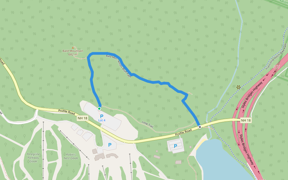 Bald Mtn - Artists Bluff Path