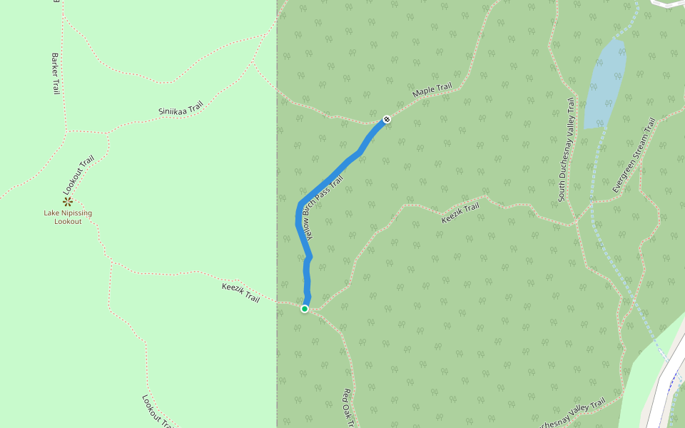 Yellow Birch Pass Trail walking route map in North Bay