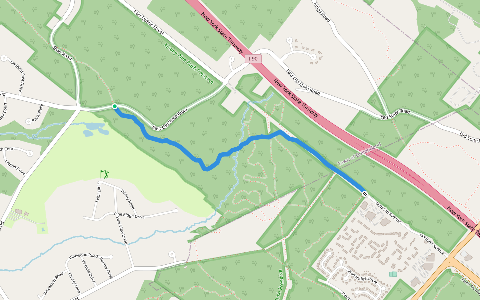 Madison Avenue Pinelands Purple Trail