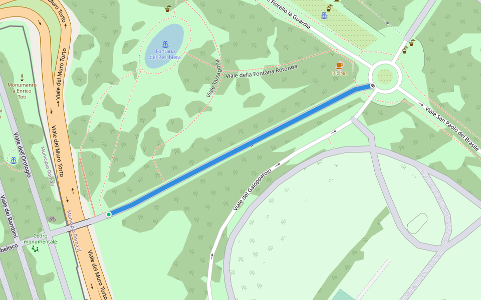 Viale delle Magnolie