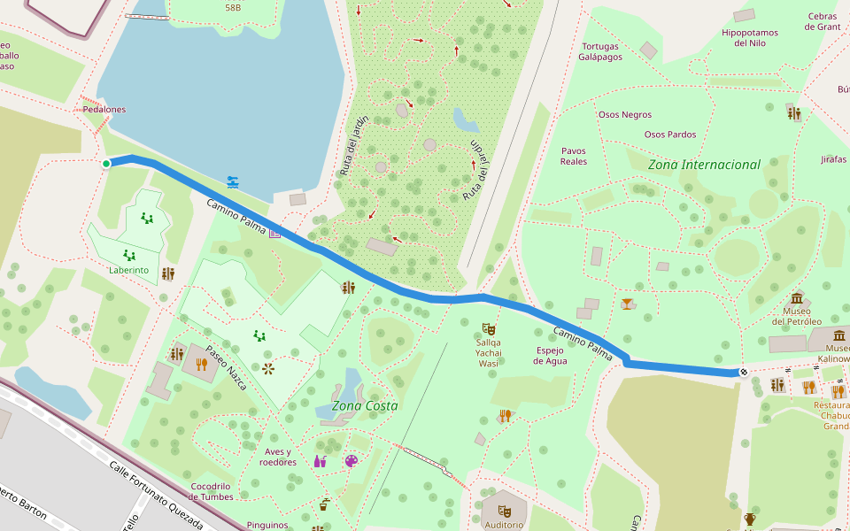 Camino Palma walking route map in San Miguel