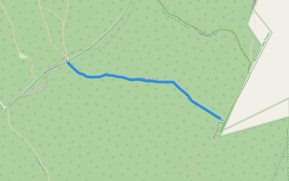Wasson Trail walking route map in Everett
