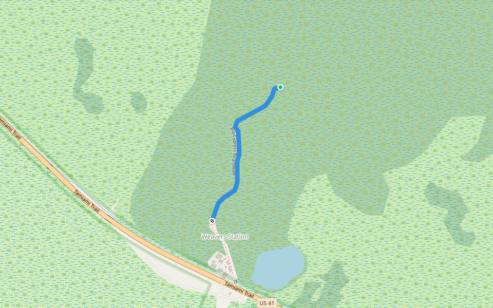 Big Cypress Boardwalk