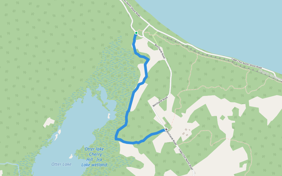 Otter Lake Side Trail (Bruce Trail) walking route map in Lion's Head